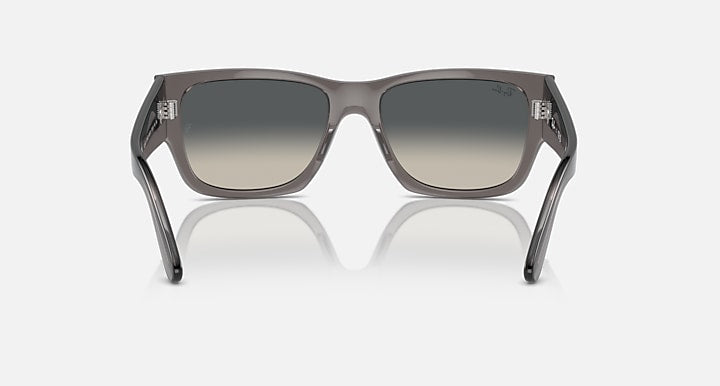 Rayban Carlos Polished Opal Dark Grey Fame with Grey Lenses 5