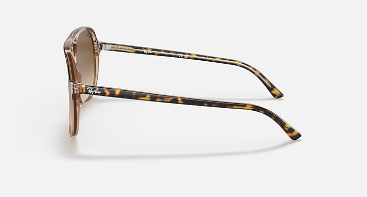 Sunglasses with tortoiseshell frame on a white background