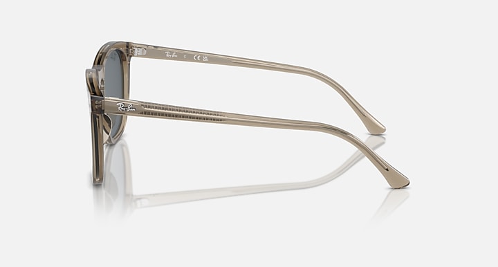 Ray Ban RB2210 Polishes Transparent Brown with Blue Lenses 4