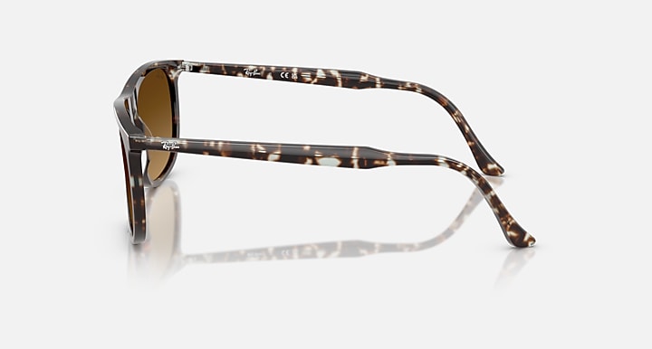 Ray Ban RB2216 Polished Havana YellowTurtle Frame with Gradient Brown Lenses