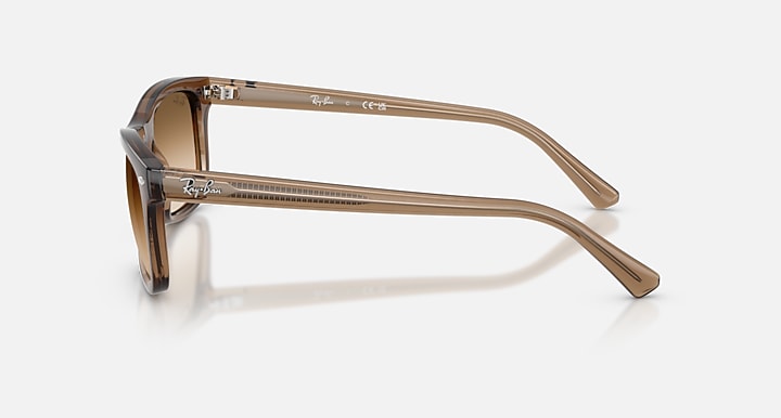 Clear frame sunglasses on a white background