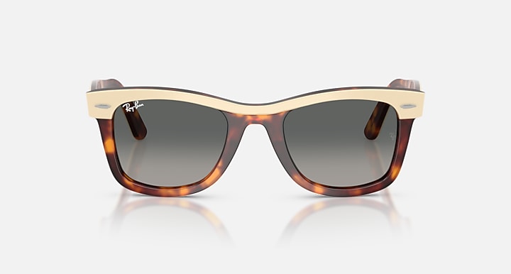 Sunglasses with tortoiseshell frame and gold accents on a white background