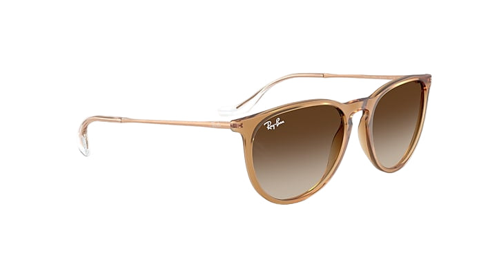 Ray Ban Erika Classic 1