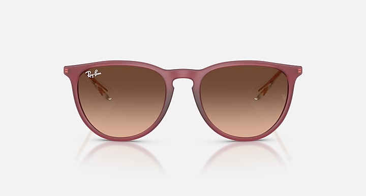 Ray Ban Erika Classic 8