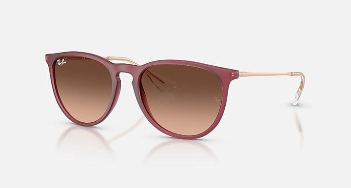 Ray Ban Erika Classic 9