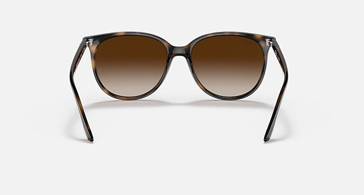 Sunglasses with tortoiseshell frame and brown gradient lenses on a white background