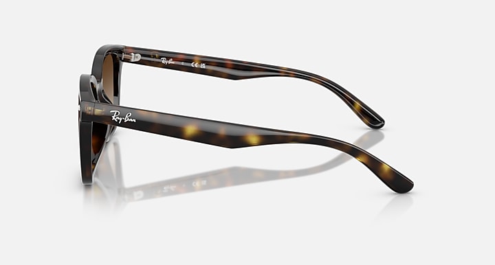 Ray-Ban sunglasses with tortoiseshell frame on a white background