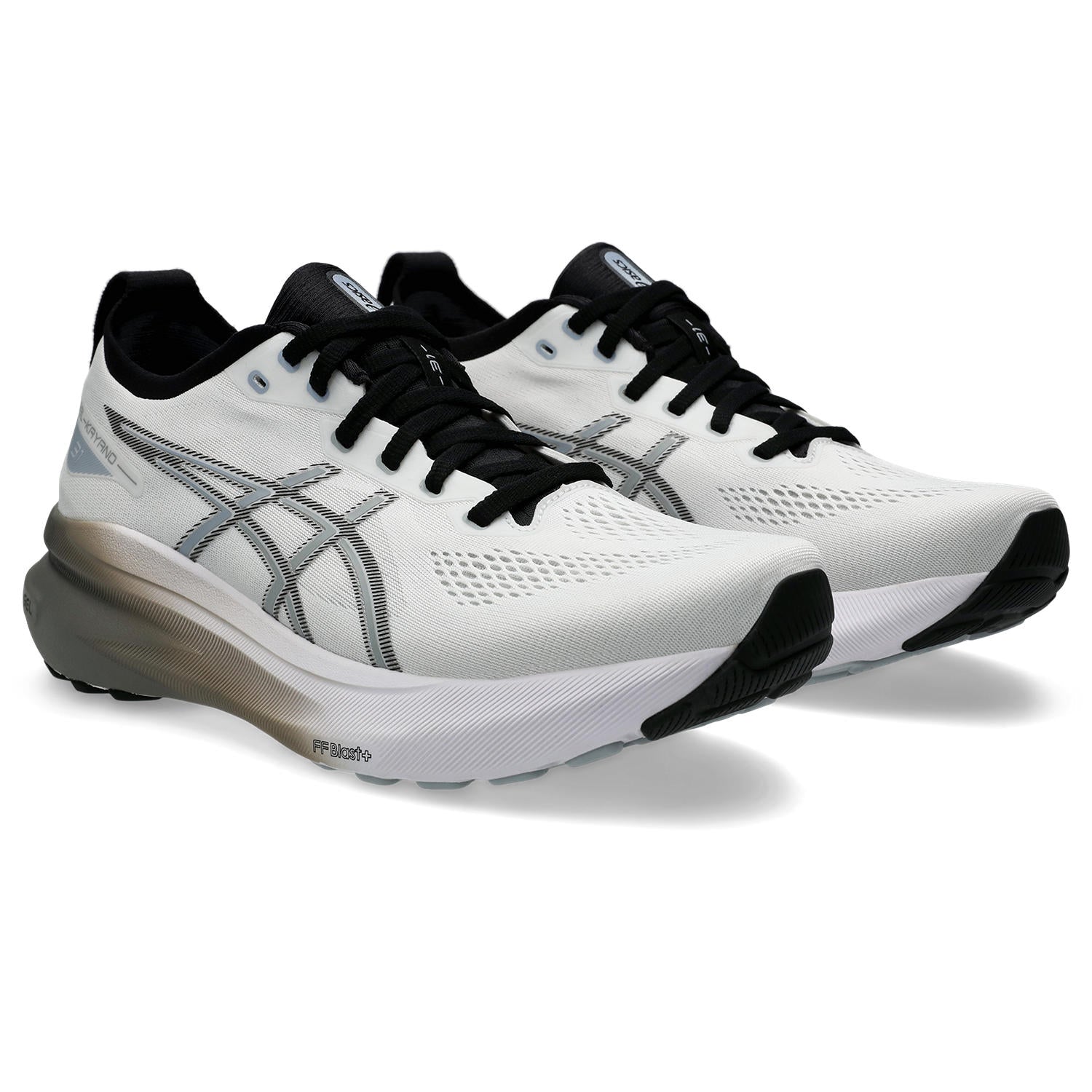 Asics Gel-Kayano 31 Men's 25