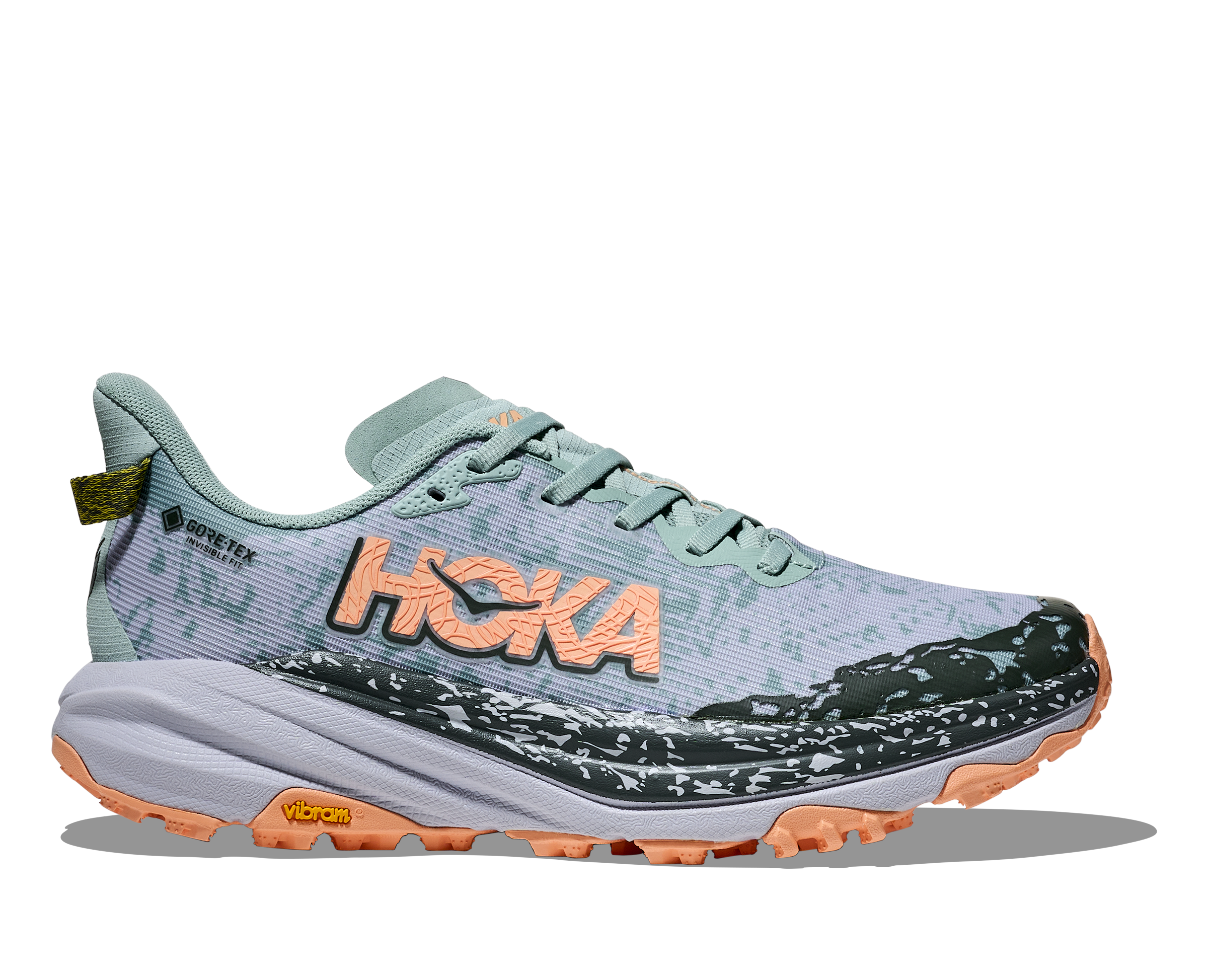 Hoka Speedgoat 6 GTX Women's 10