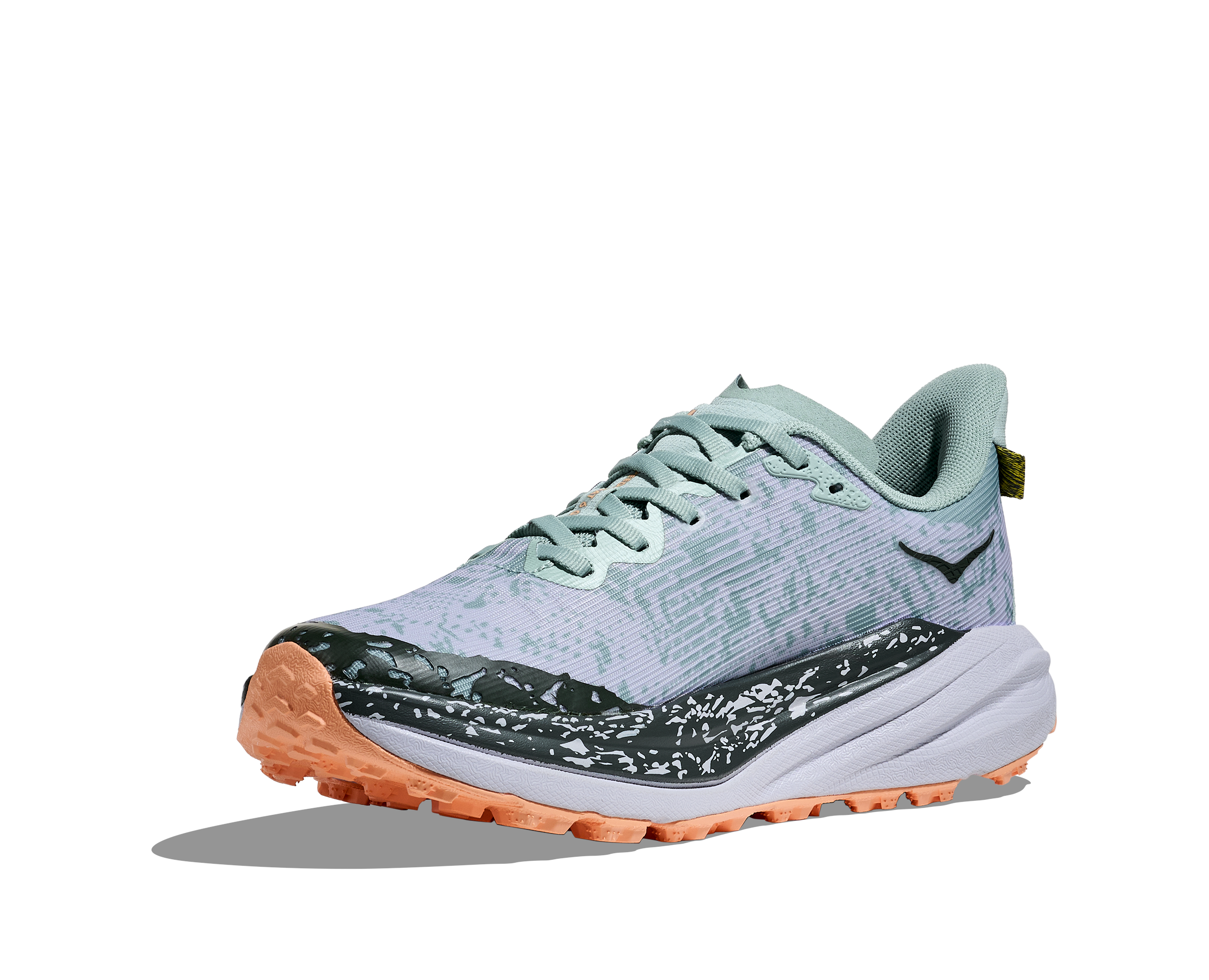 Hoka Speedgoat 6 GTX Women's 12