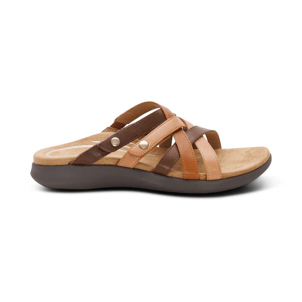 Brown sandal with tan straps on a white background