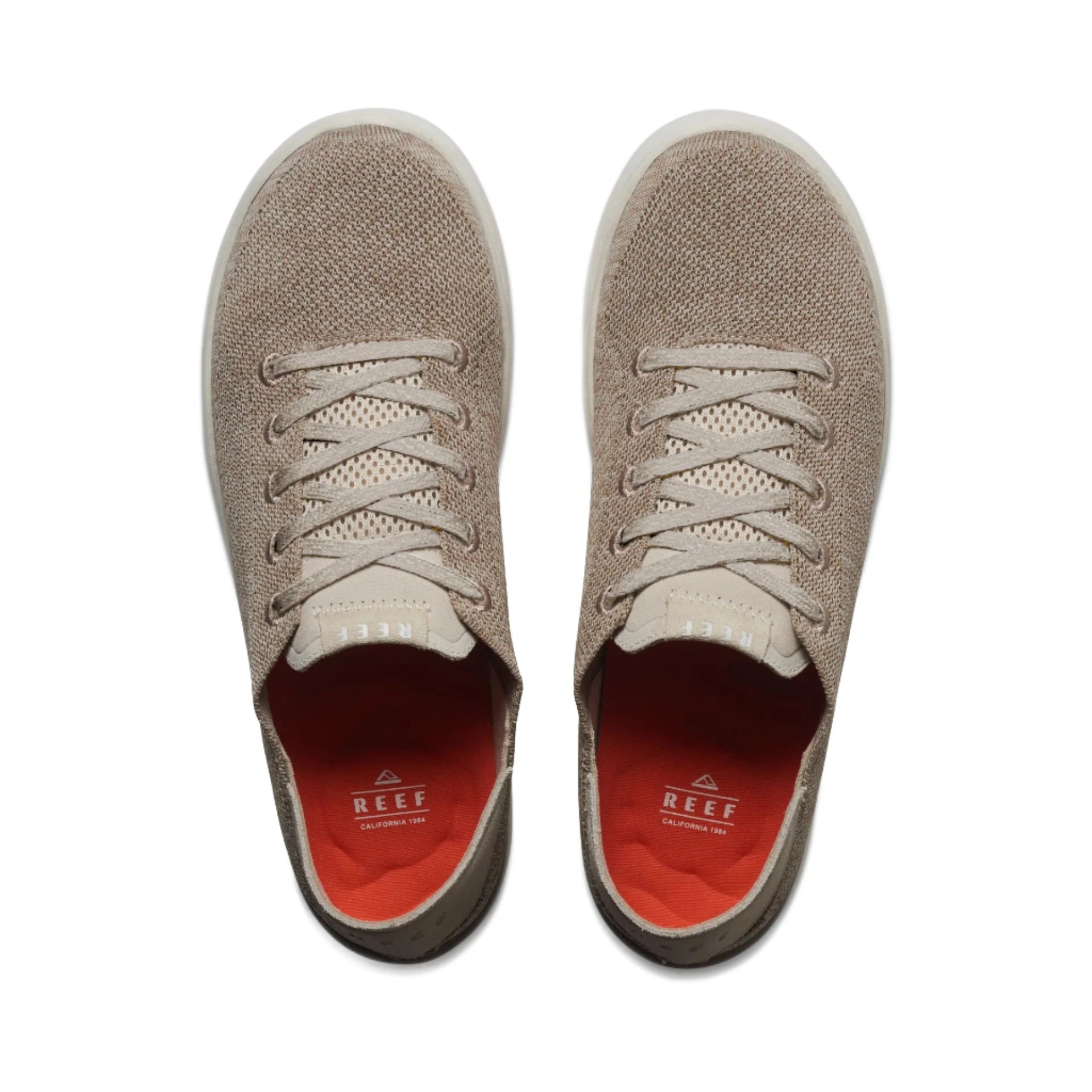 Reef Swellsole Neptune Men's 3