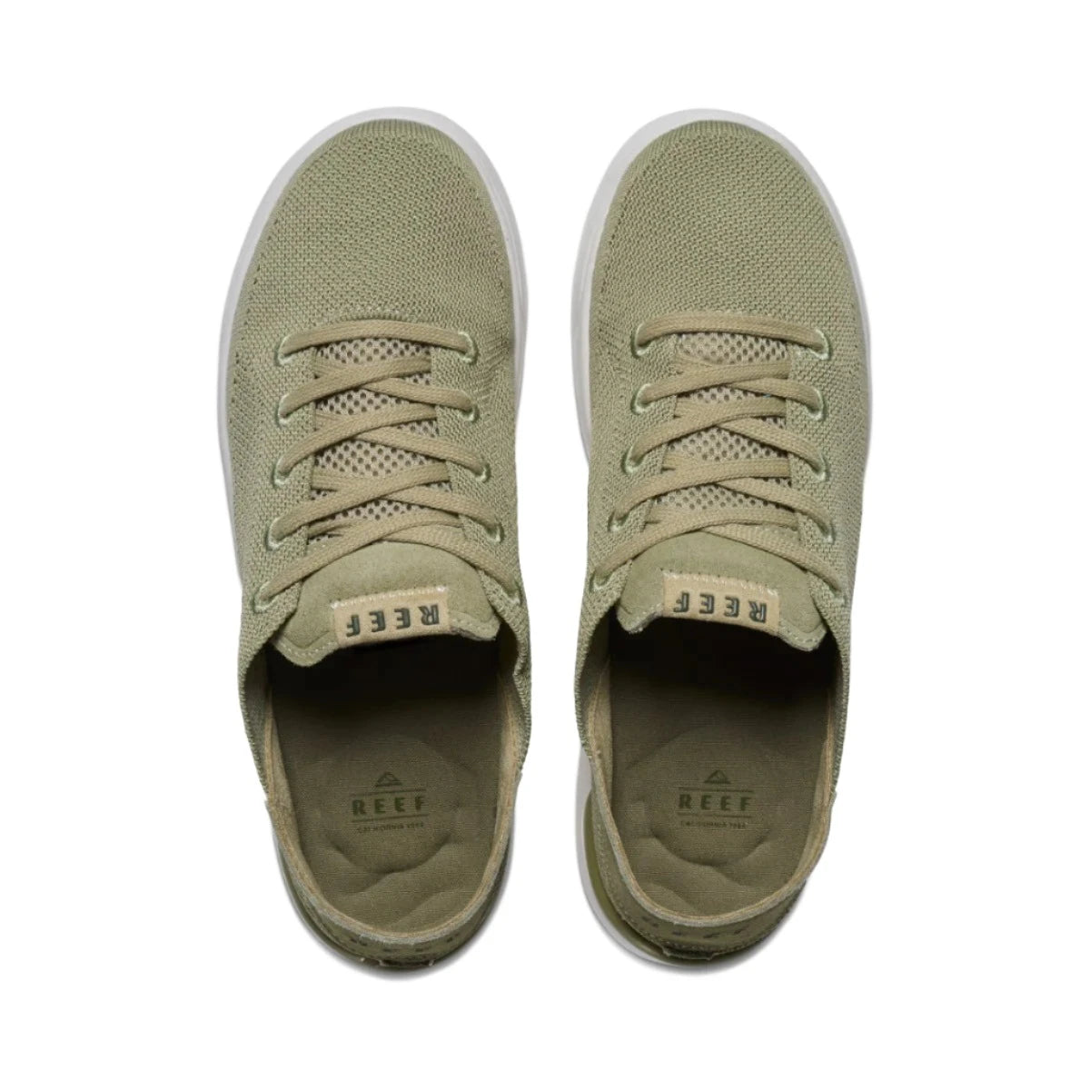 Reef Swellsole Neptune Men's 15