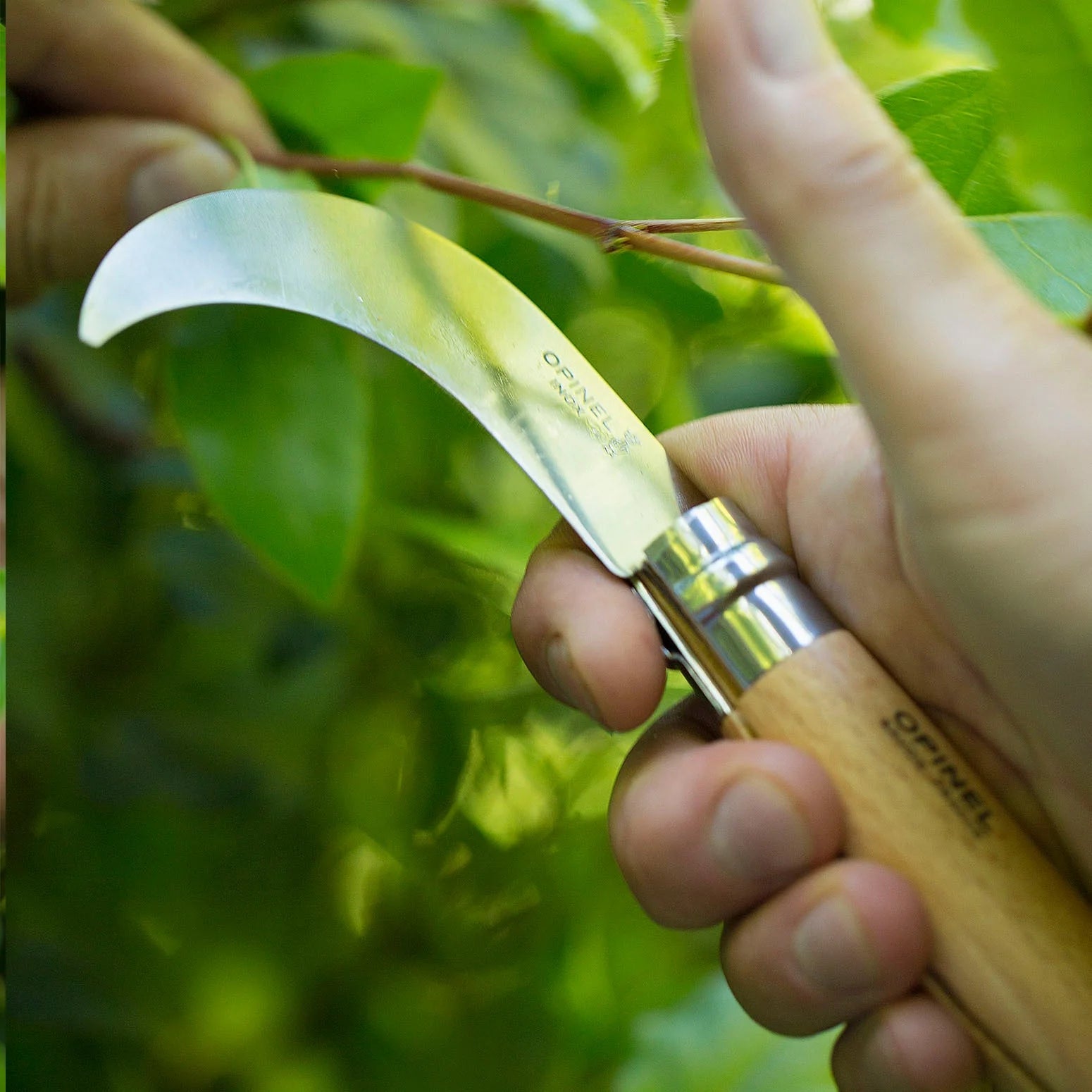 Opinel No.10 Billhook Folding Knife 3