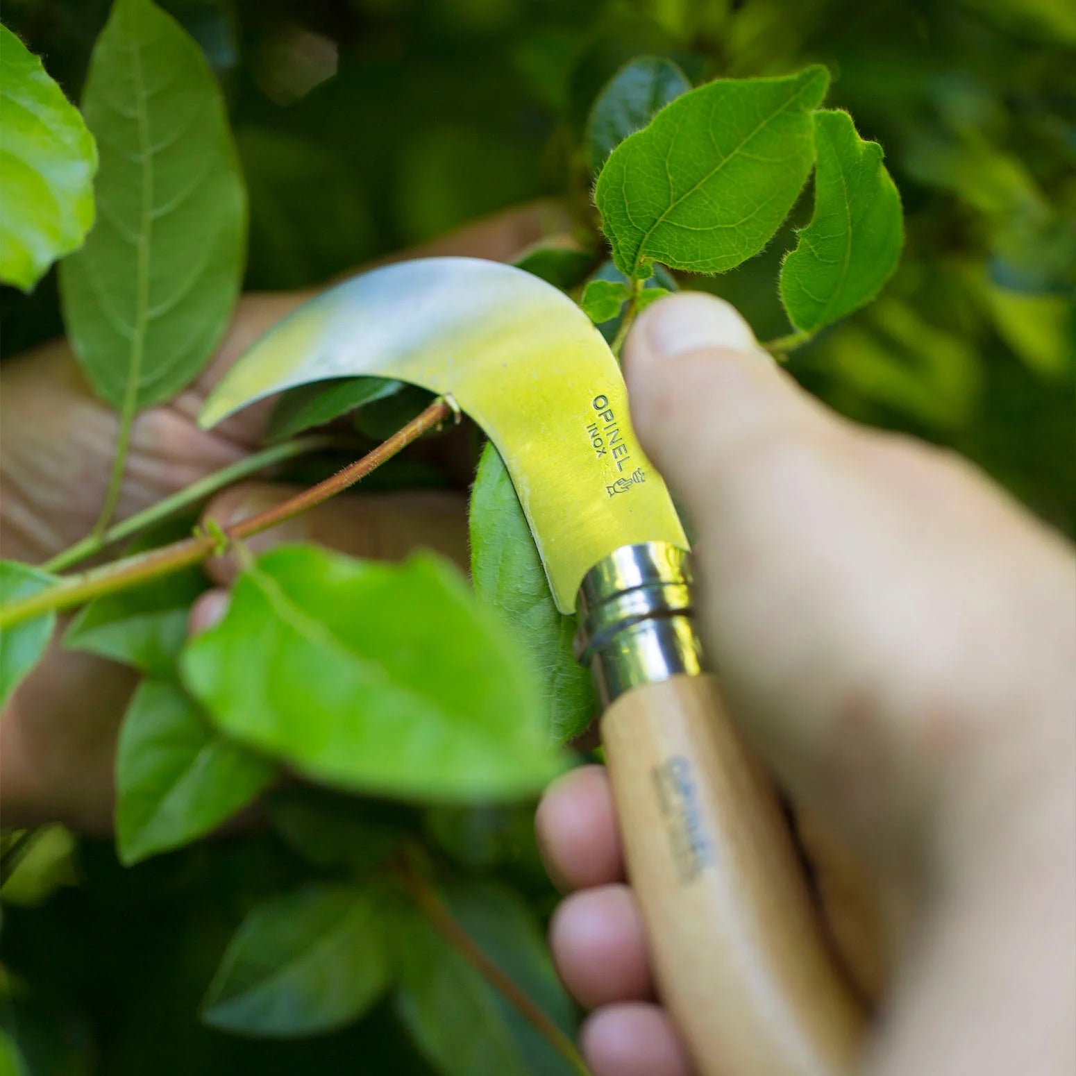 Opinel No.10 Billhook Folding Knife 2