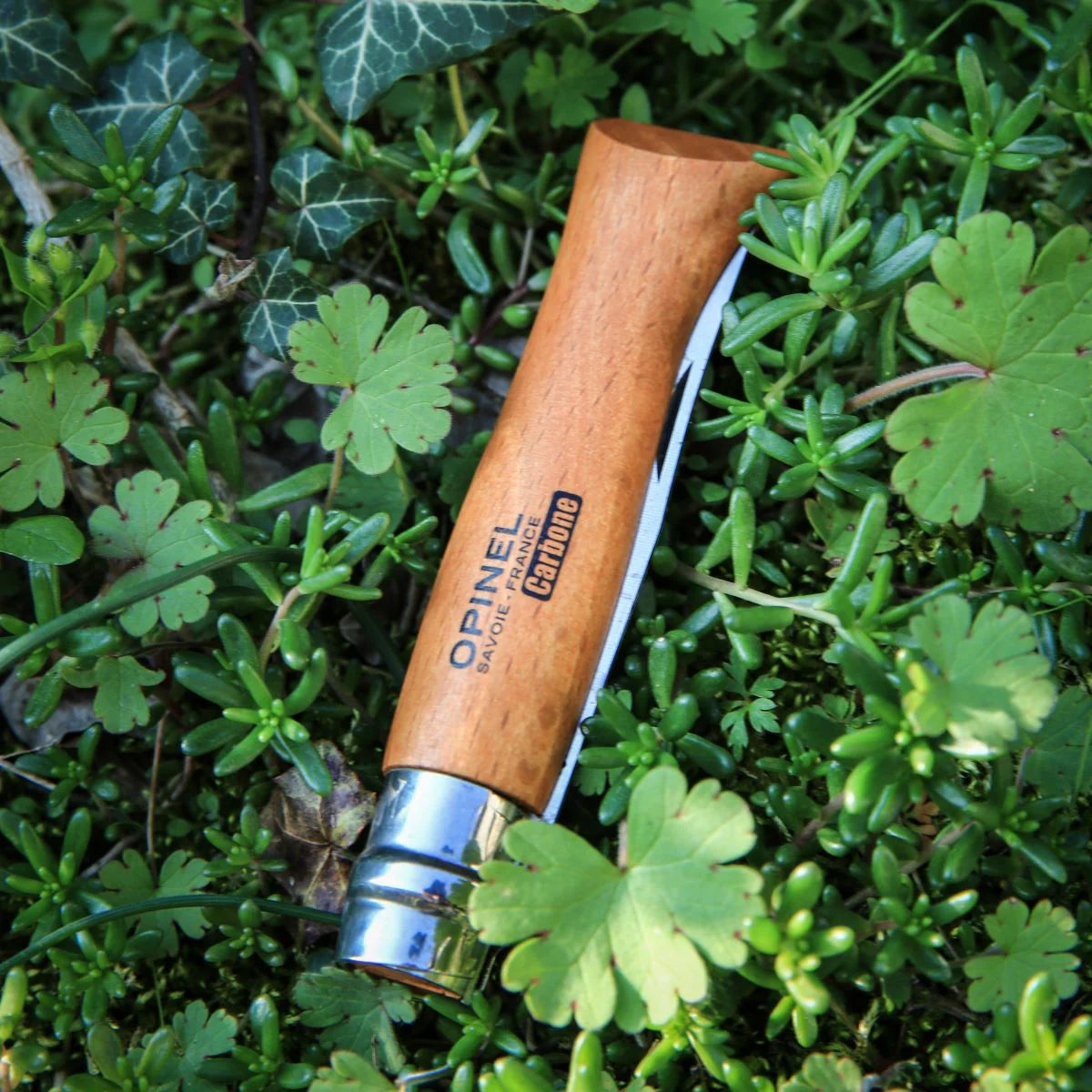 Opinel No.12 Carbon Steel Folding Knife 2