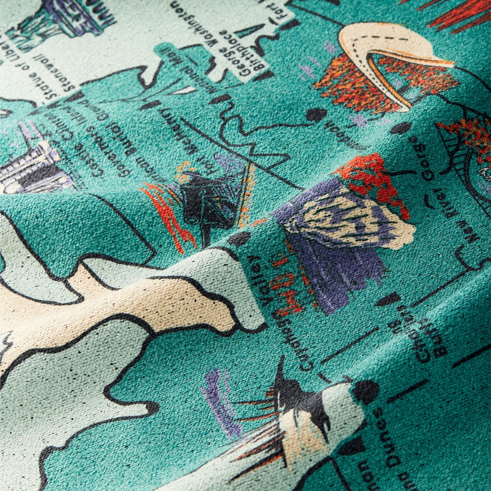 Close-up of a map with stylized illustrations of animals and text on a teal background