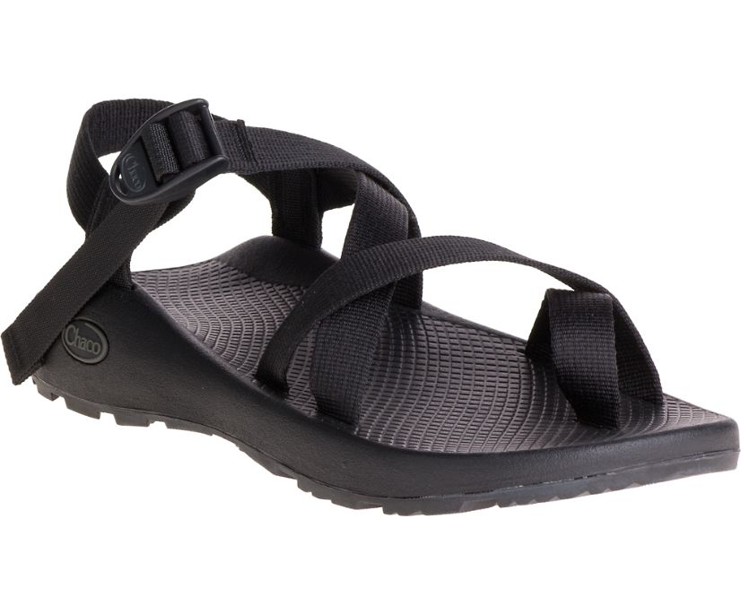 Chaco Z/2 Classic Men display picture 1