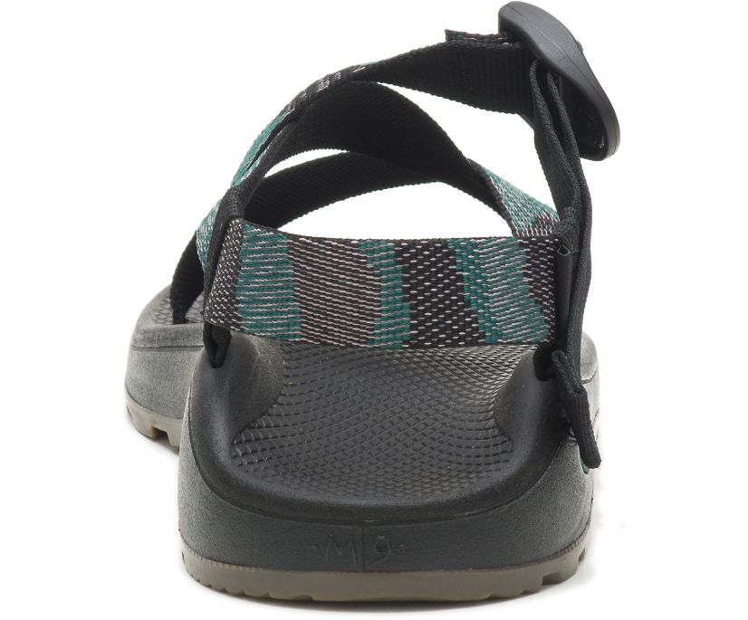 Chaco Z/Cloud Men's