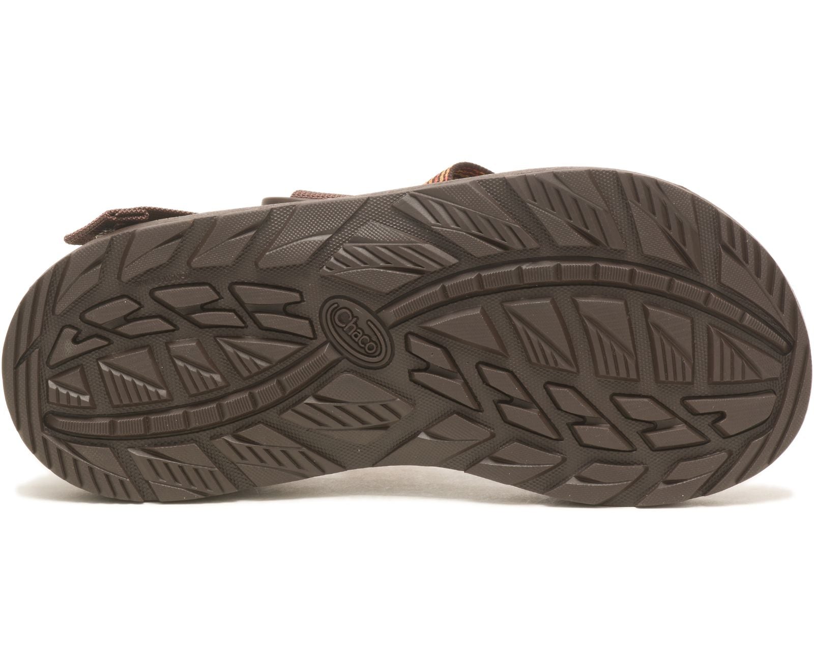 Chaco Mega Z/Cloud Men's