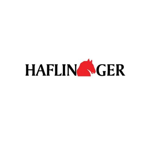 Haflinger