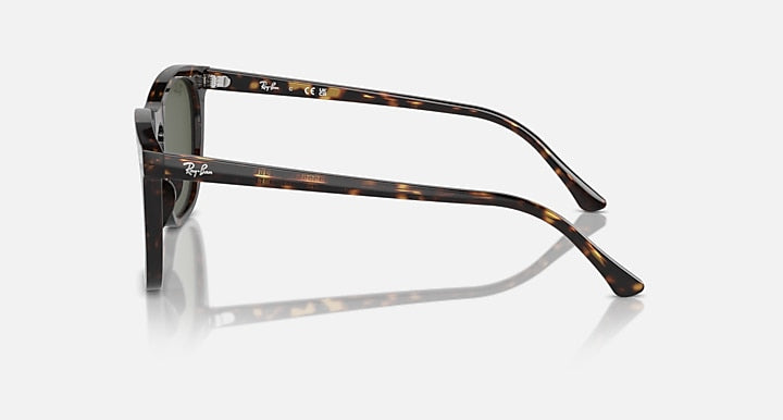Tortoiseshell sunglasses on a white background