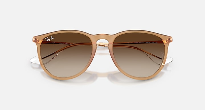 Ray Ban Erika Classic  6