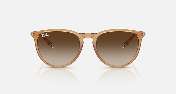 Ray Ban Erika Classic  3