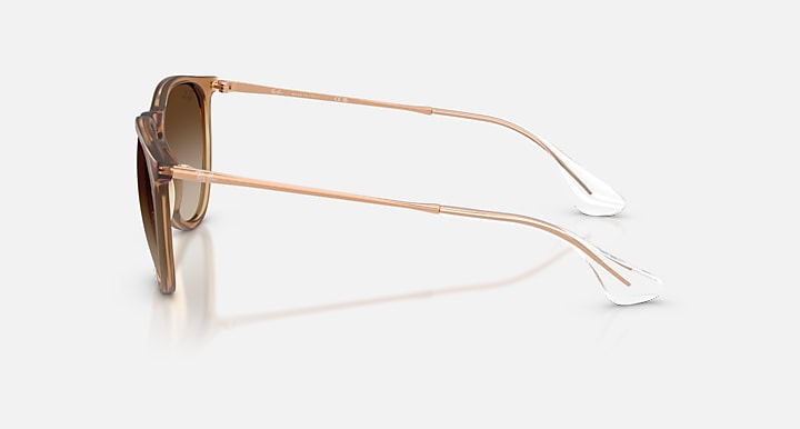 Ray Ban Erika Classic  4