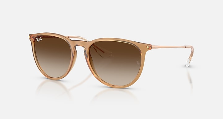 Ray Ban Erika Classic  2