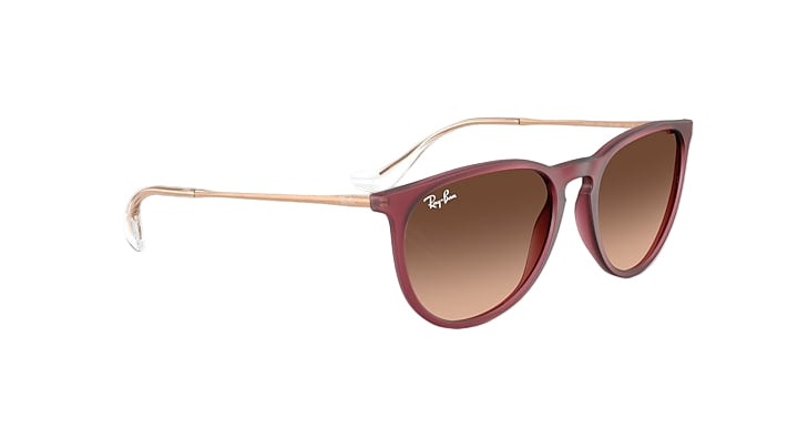 Ray Ban Erika Classic  7