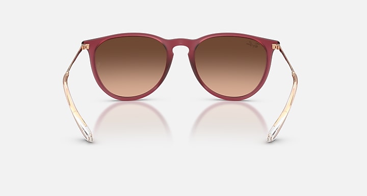 Ray Ban Erika Classic  11