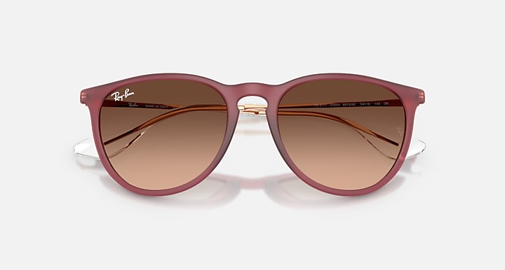 Ray Ban Erika Classic  12