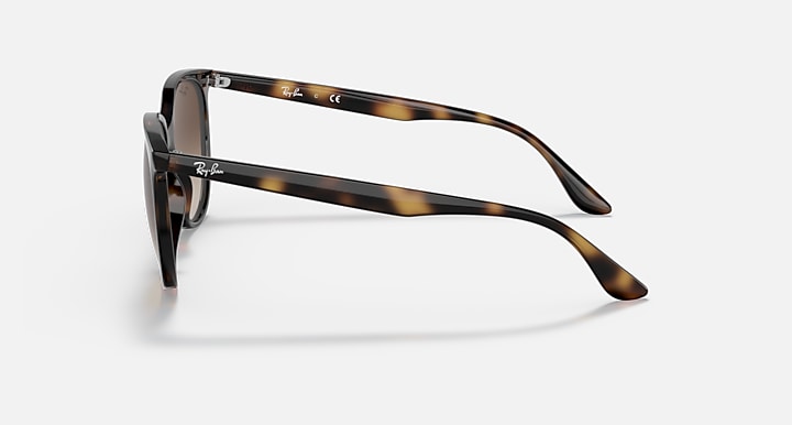 Sunglasses with tortoiseshell frame on a white background