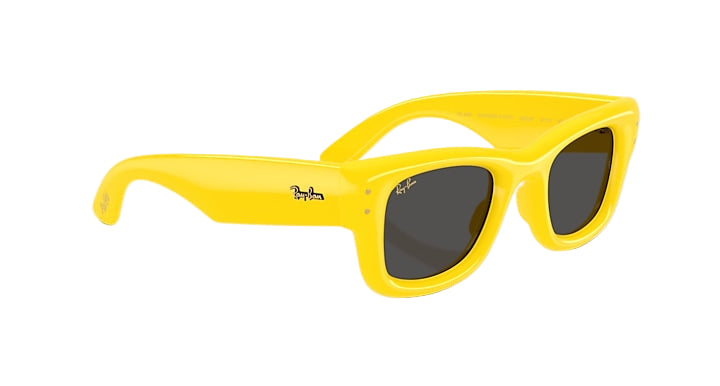 Ray Ban Wafarer Puffer