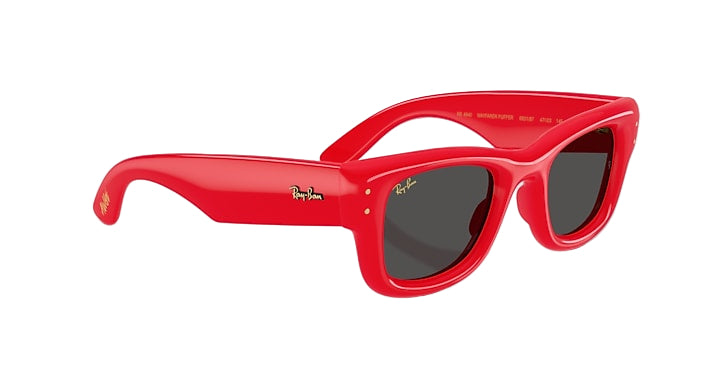 Ray Ban Wafarer Puffer