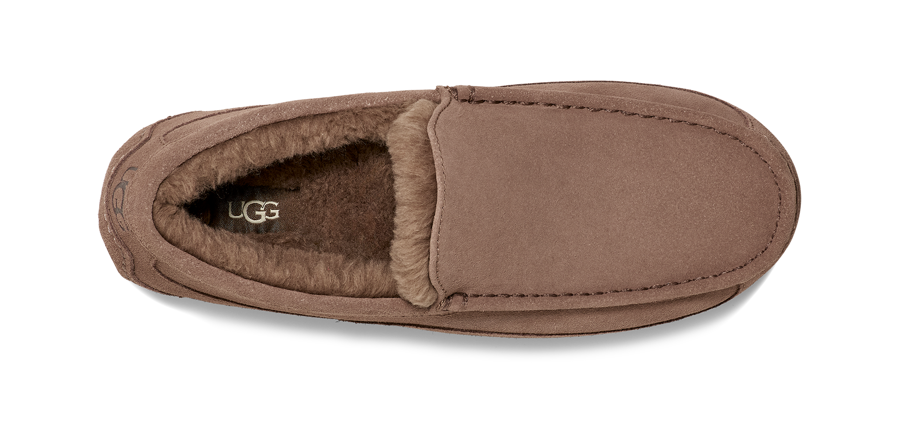 UGG Ascot Slipper Men's 17