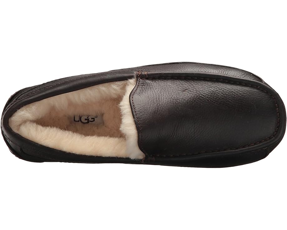 UGG Ascot Matte / Leather Slipper Men's