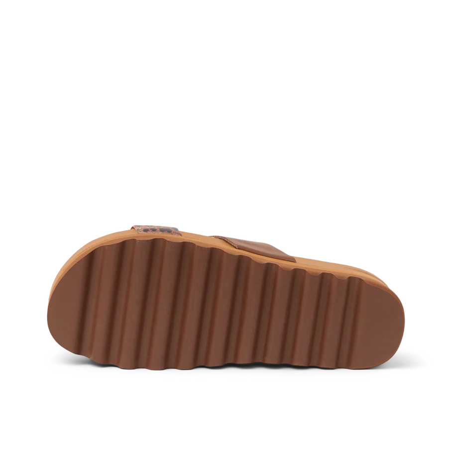 Brown sandal sole on a white background
