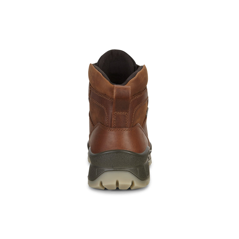 udpege For tidlig slap af Men's ECCO Track 25 GTX Hiking Boots Bison/Brown – Brown's Shoe Fit Cape