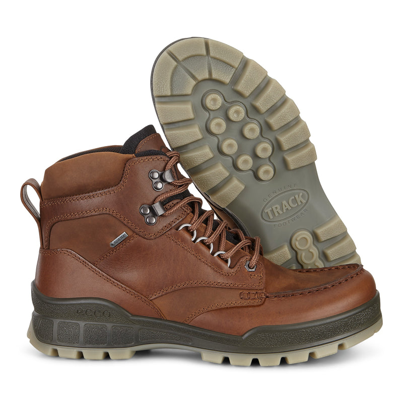 Men's ECCO Track 25 GTX Hiking Bison/Brown – Brown's Shoe Fit Cape