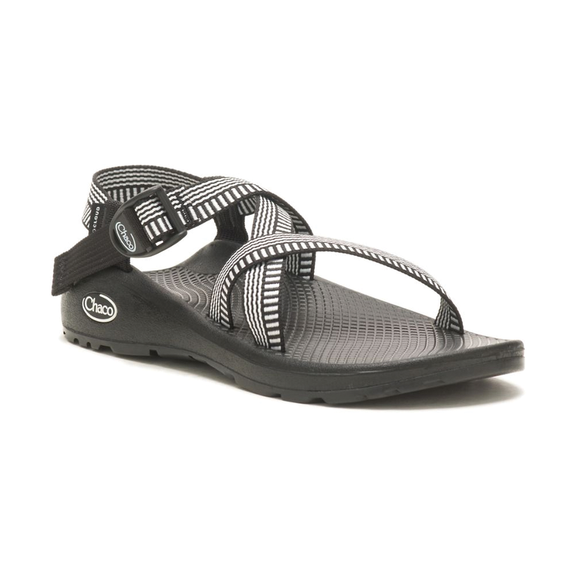 Pivot 2025 navy chacos